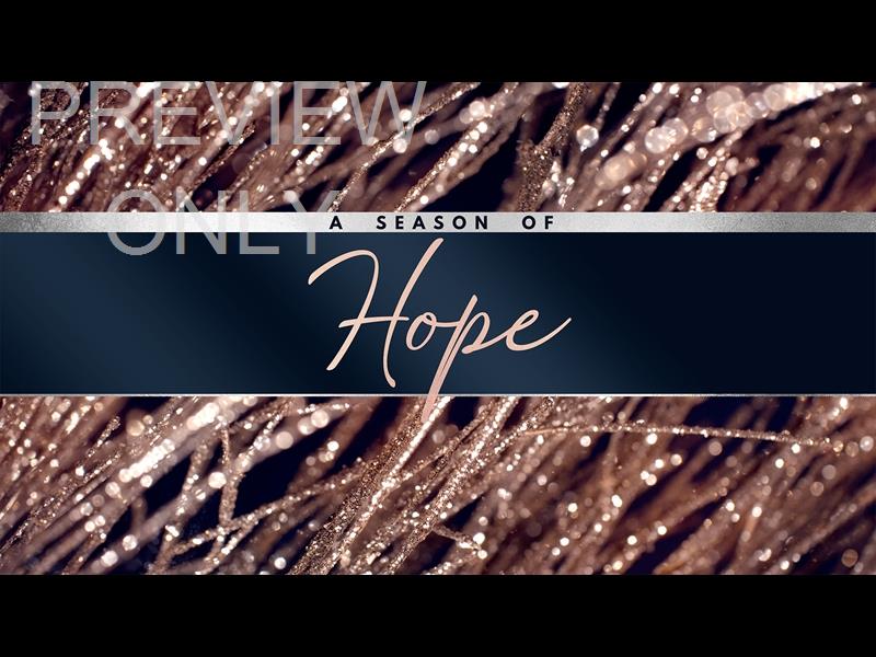 Christmas Gold Hope Still