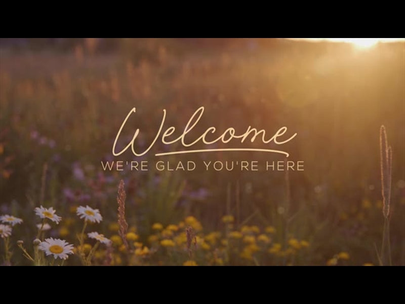 Summer Wildflower Welcome