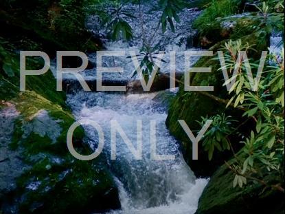 River Wild 5 Hd Still