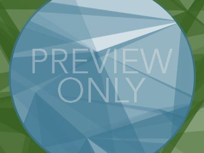 Flat Polygons Blank 4