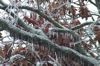 Winter Holidays 3