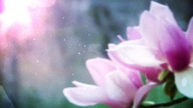 Watercolor Magnolia 01