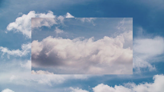 Spring Nature Motion 21