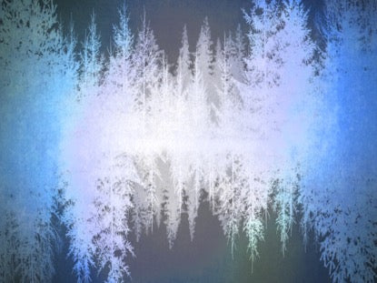 Natures Beauty 4 Motion