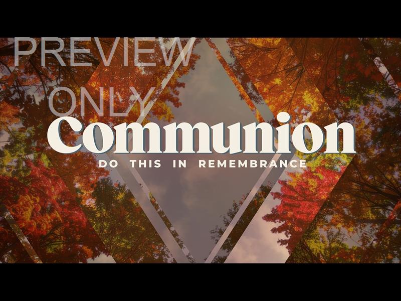 Fall Trees Communion Still