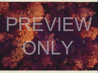 Fall Leaves Top Down Retro