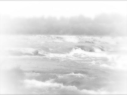 White Washed 1 Motion