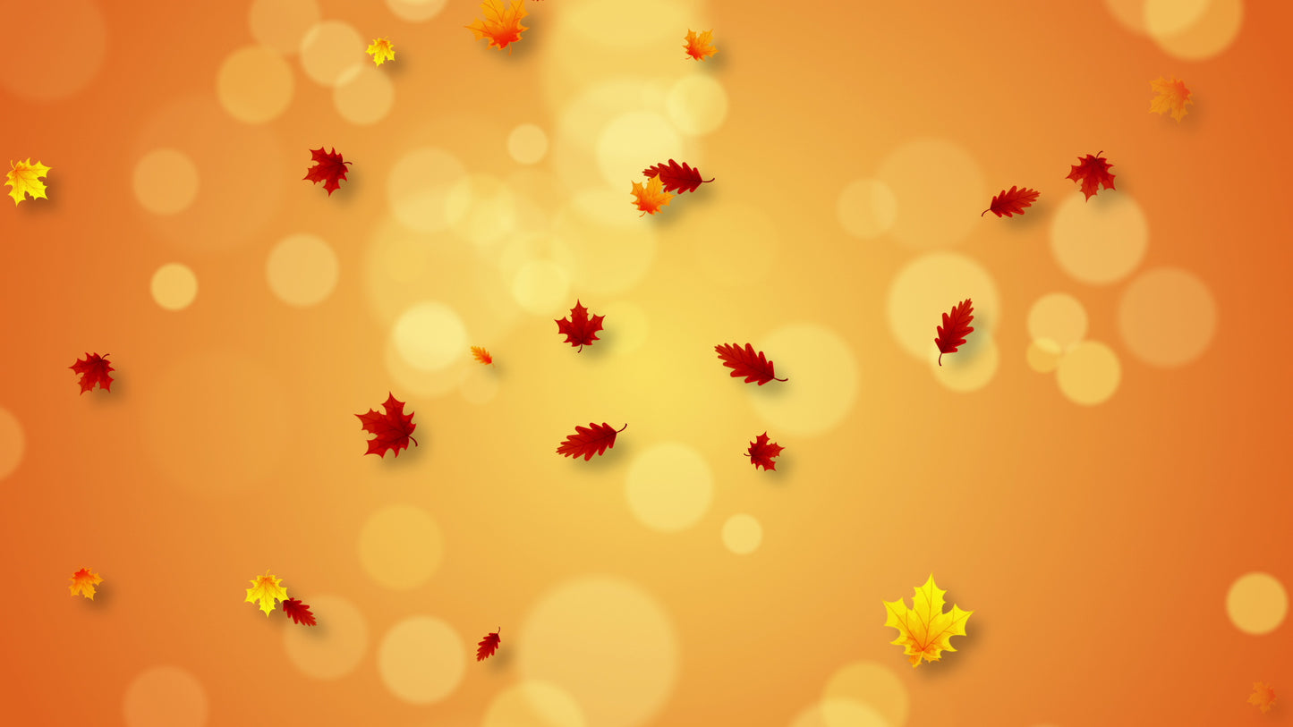 Fall 1 Still Vol6