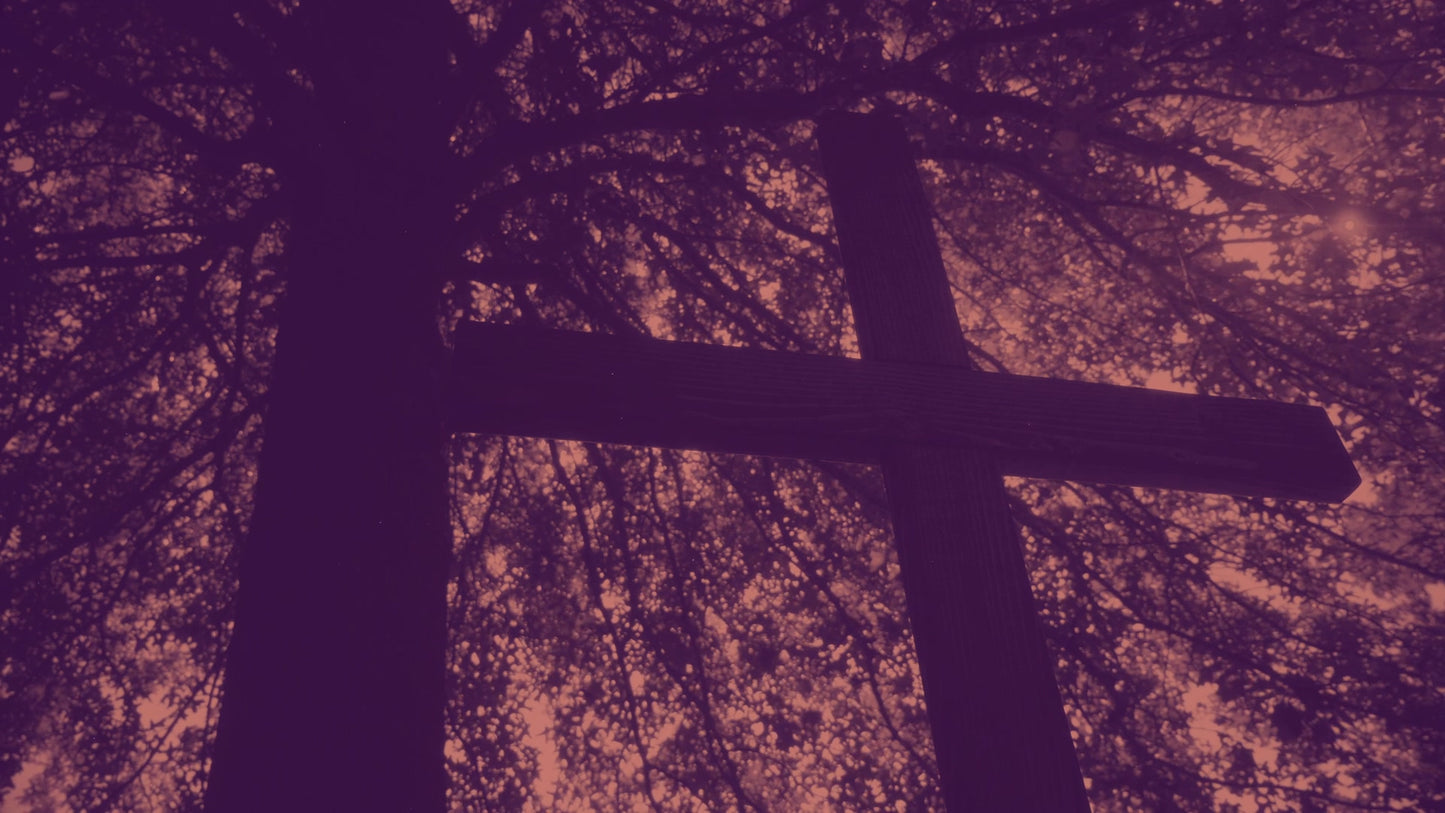 Cross 12 Duotone Still