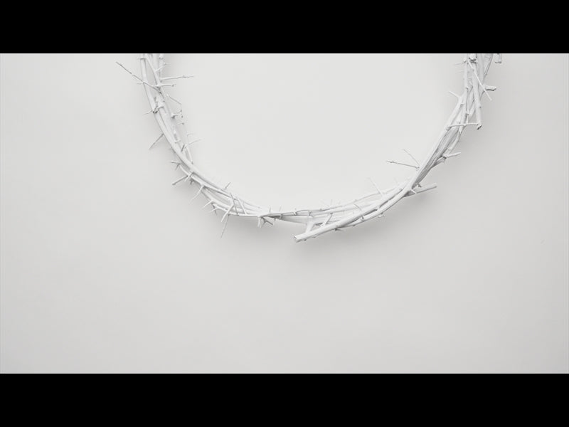 Crown Of Thorns White 8
