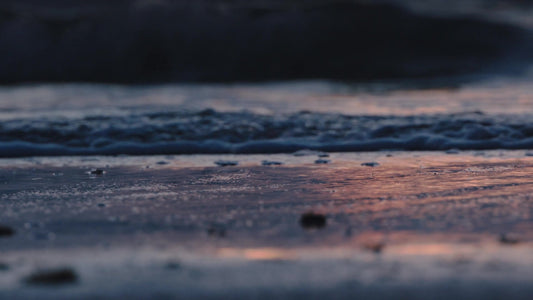 Spring Nature Still 09