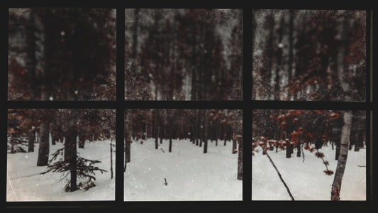 Christmas Windows 4 Still