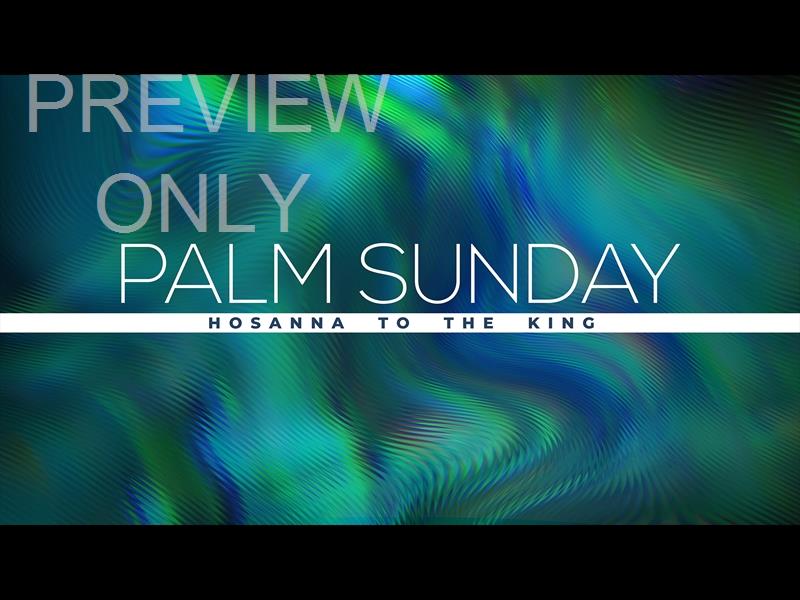Fresnel Palm Sunday Still
