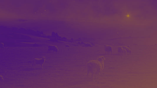 Amber Christmas Sheep Still