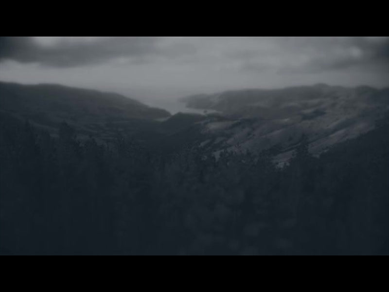 Aerial Bliss 1 Alt