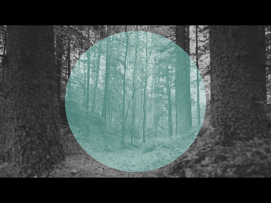 Deep Forest Woodland Floor Teal Circle