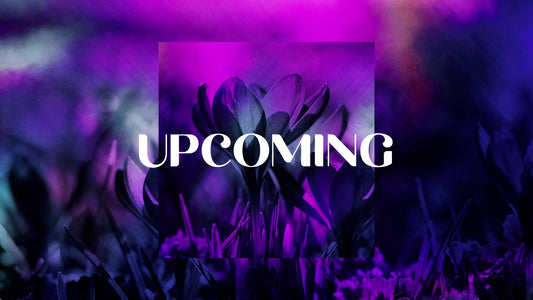 Painted Flowers Upcoming Still