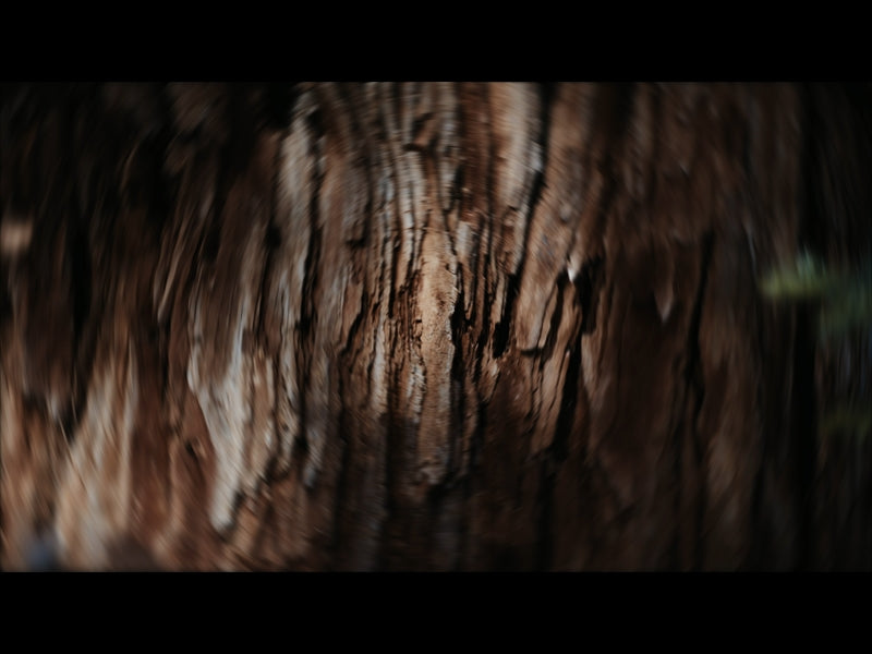 Radial Nature 9