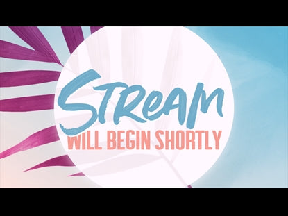 Modern Palm Magenta Stream