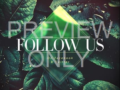 Spring Dew Follow Us