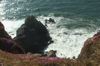 Ocean Scene 27
