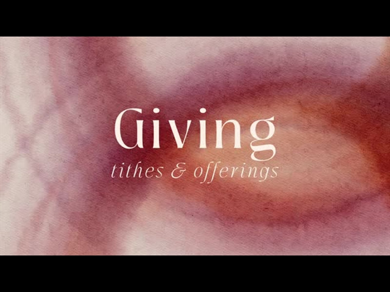 Spring Canvas Giving
