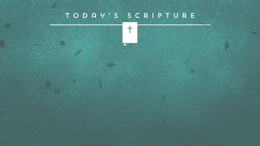 Painted Autumn Scripture