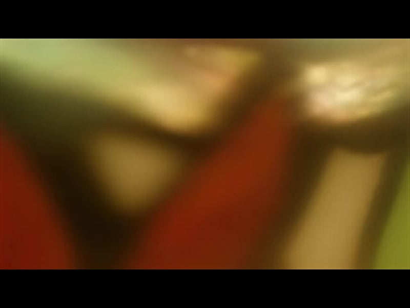 Stained Glass 5