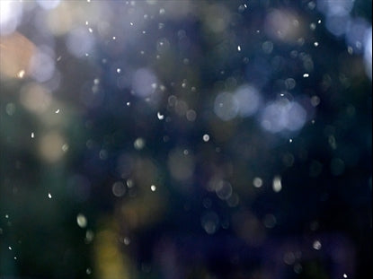 Winter Snow 5