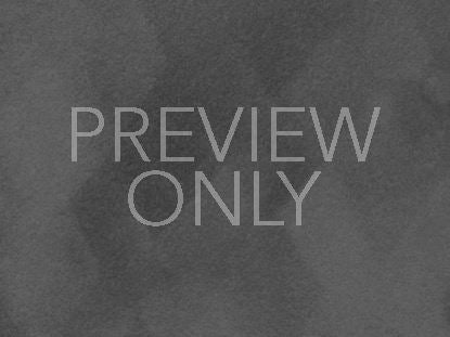 Bold Impressions Still 2