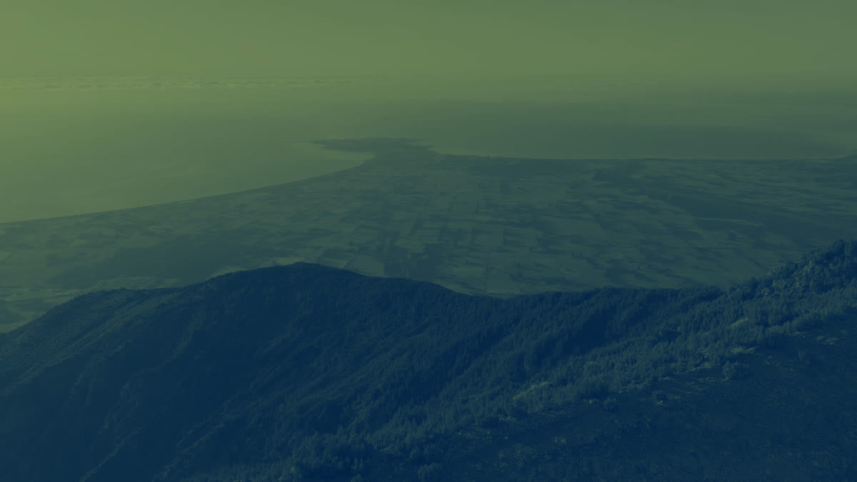 Kiakoura 3 Alt