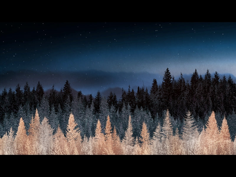 Sparkling Trees 14