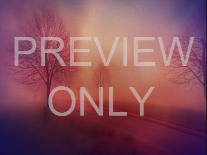 Sojourn 5 Still