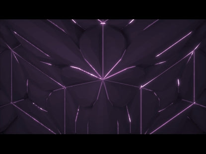 Fractal Shapes 1 Pink