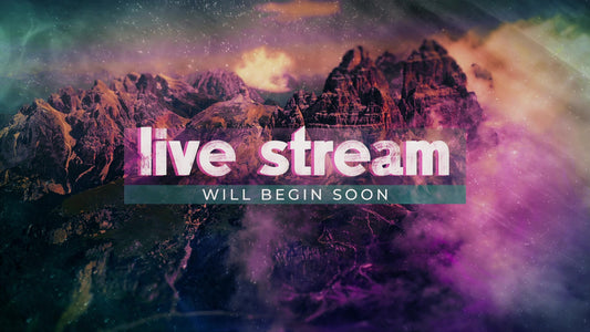 Vivid  Live Stream Still