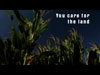 The Land