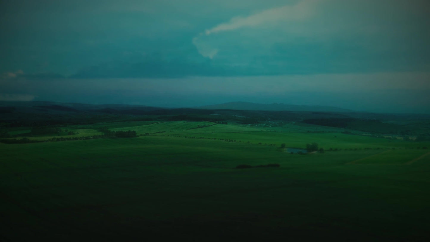 Open Fields Moody Green Still