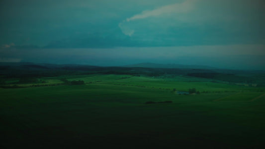 Open Fields Moody Green Still
