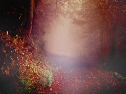 Crisp Morning 3 Motion