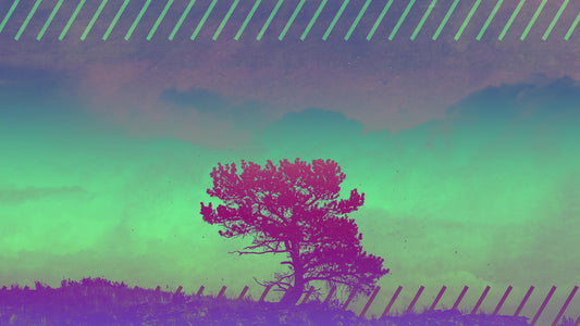 Lonely Tree Horizon Still