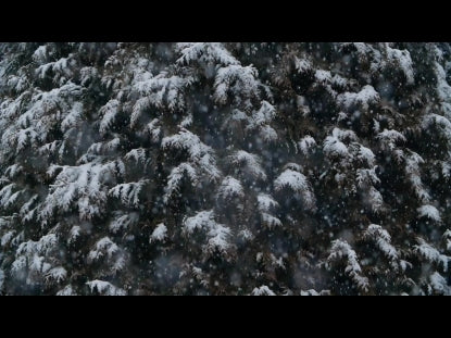 Snow Winter Background 24