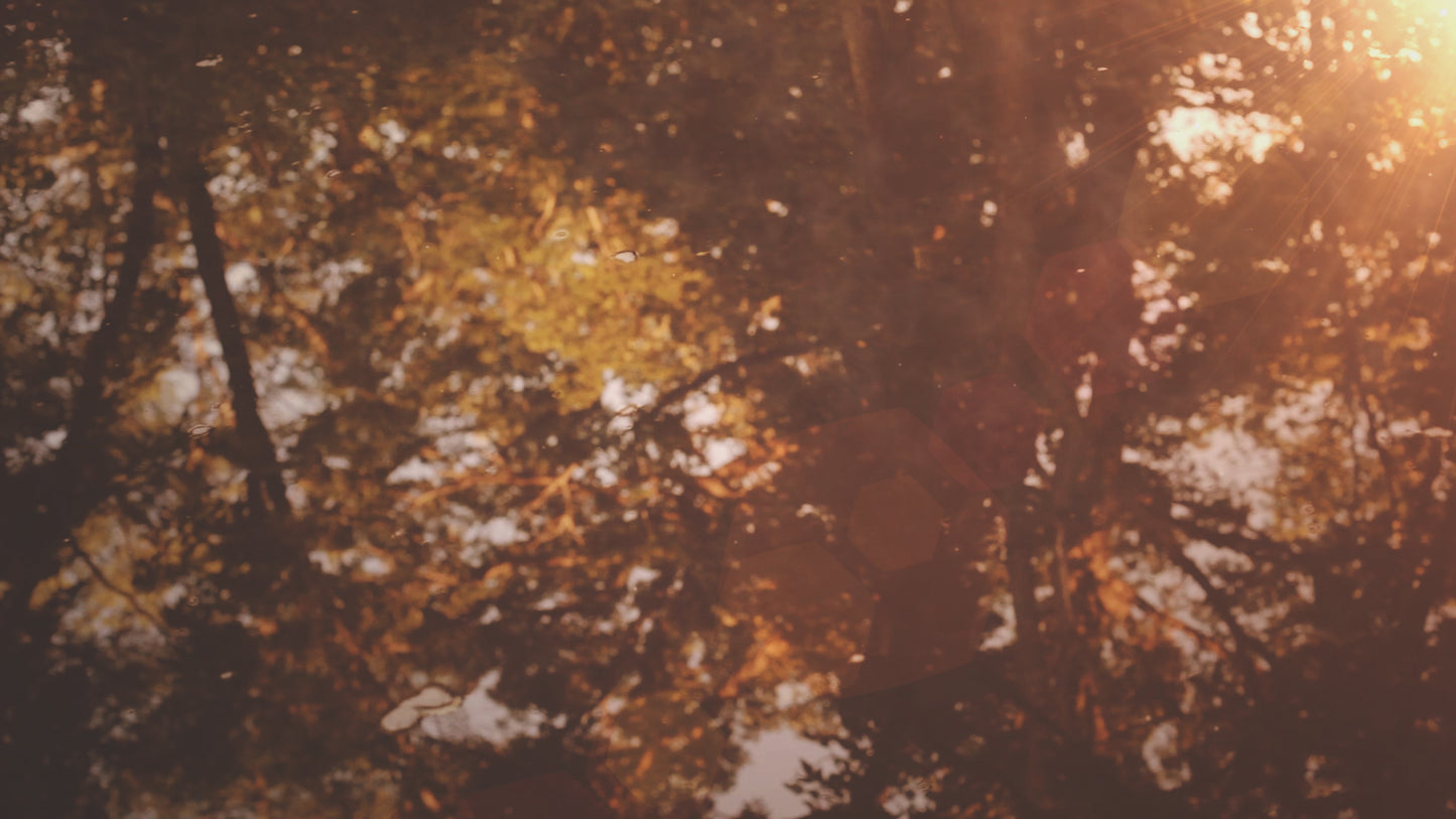 Summer Light Reflect Still