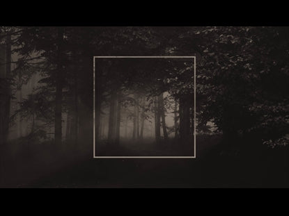 Moody Woods