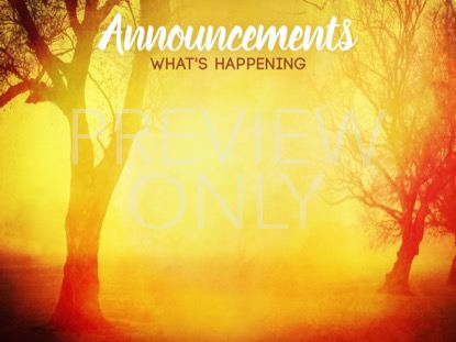 Autumn Forest Announcement Still