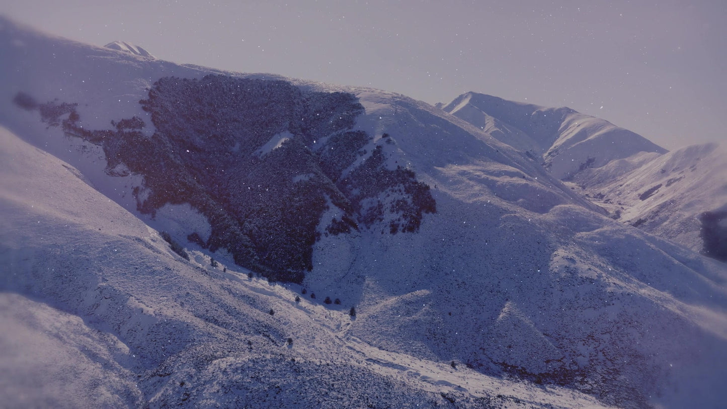 Deep Winter 8 Still