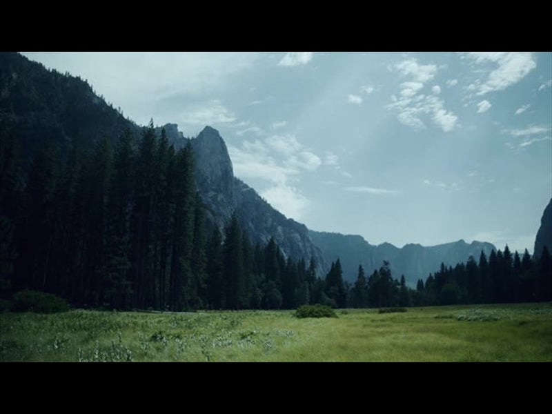 Yosemite Meadows Motion - 11