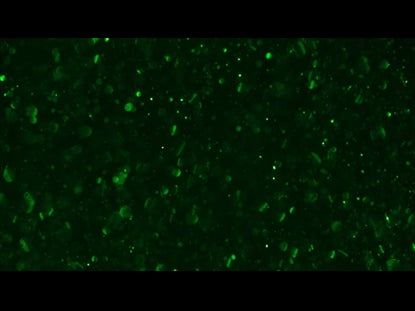 Christmas Glitter Green