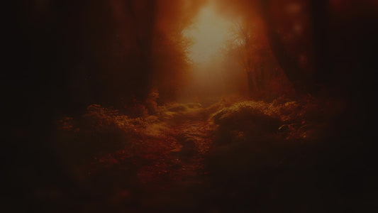 Autumn Path 9 Darken Still