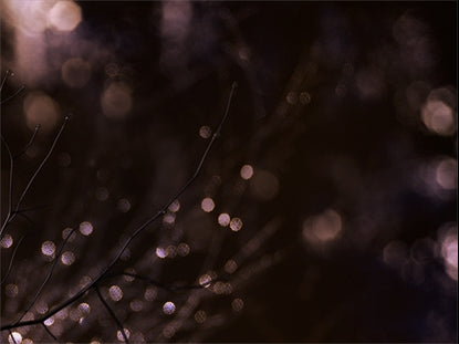 Winter Frost 13