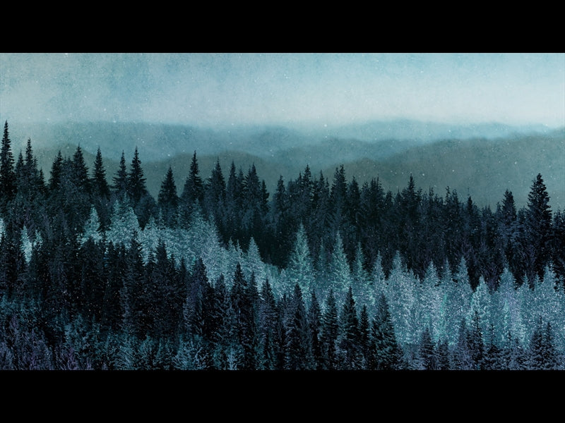 Sparkling Trees 7